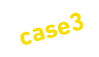 case3