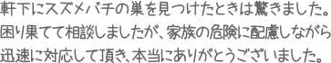 軒下にスズメバチの巣を見つけたときは驚きました。困り果てて相談しましたが、家族の危険に配慮しながら迅速に対応して頂き、本当にありがとうございました。